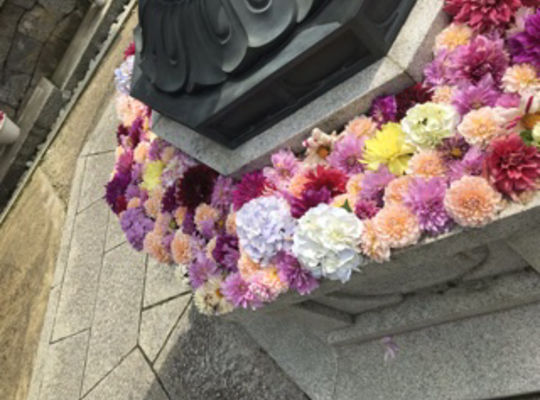 花の水路